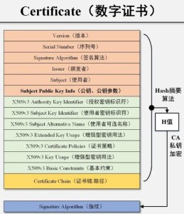 数字证书