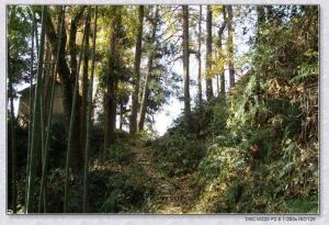 云和山水