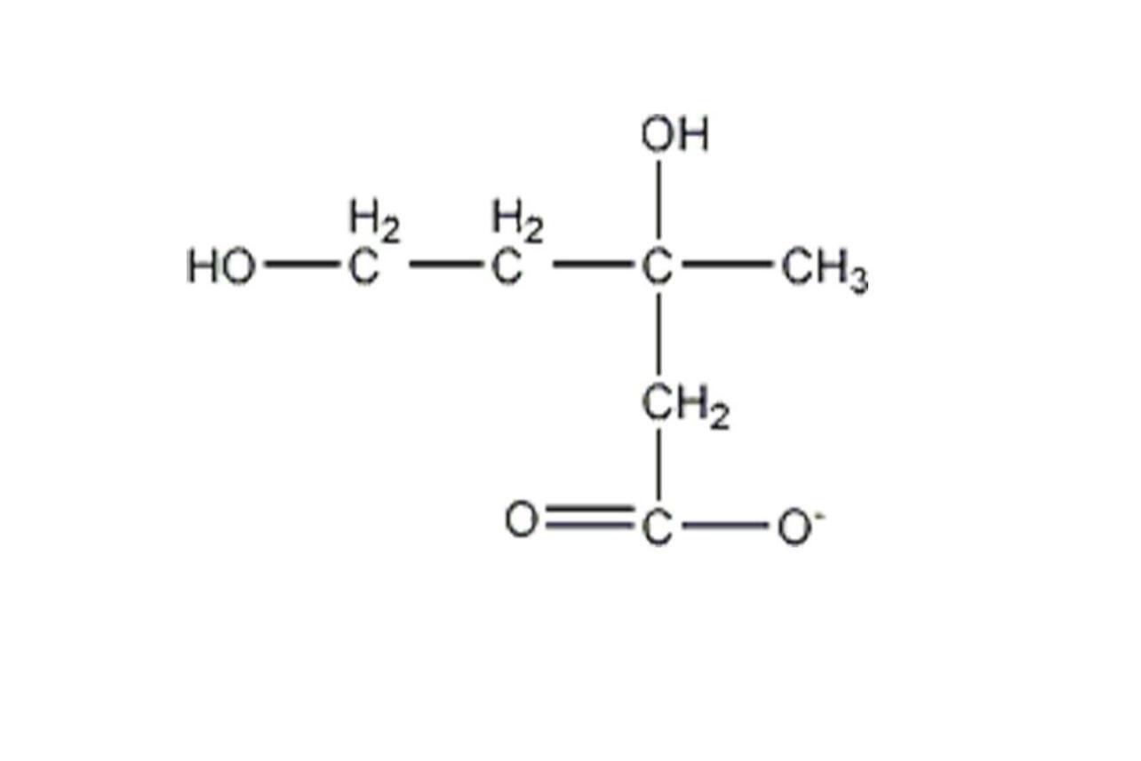 甲羟戊酸 搜狗百科
