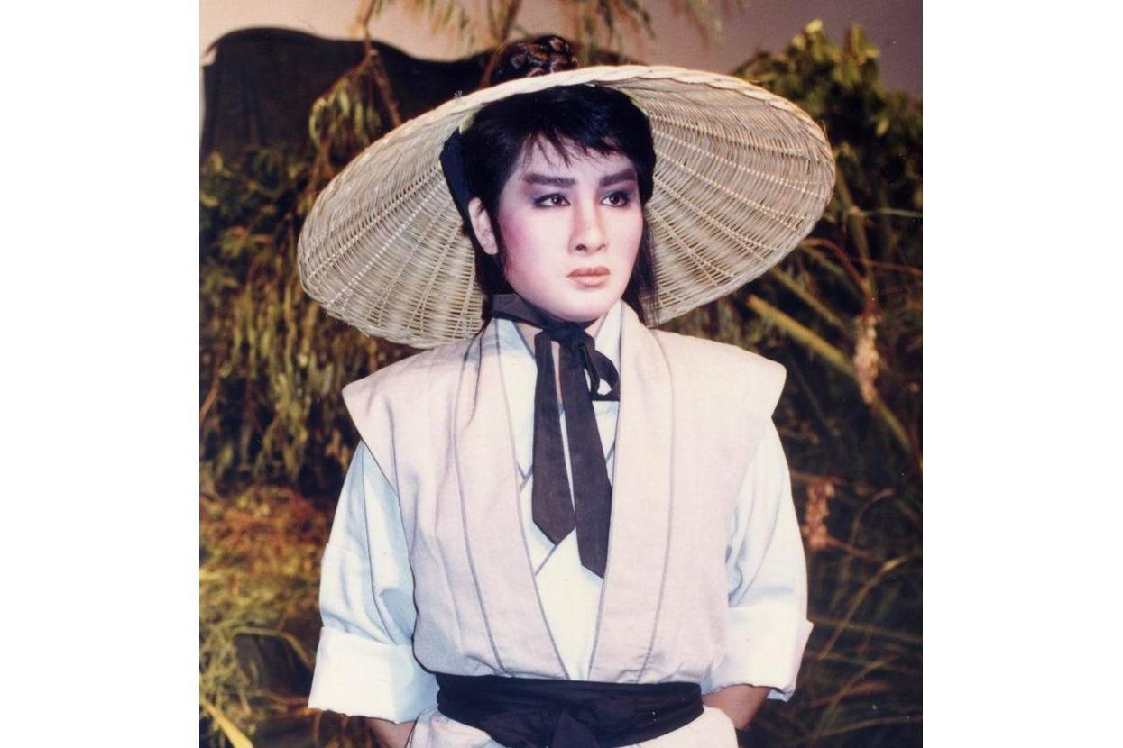 杨丽花歌仔戏_搜狗百科