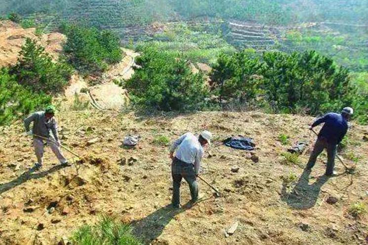 开荒地_搜狗百科