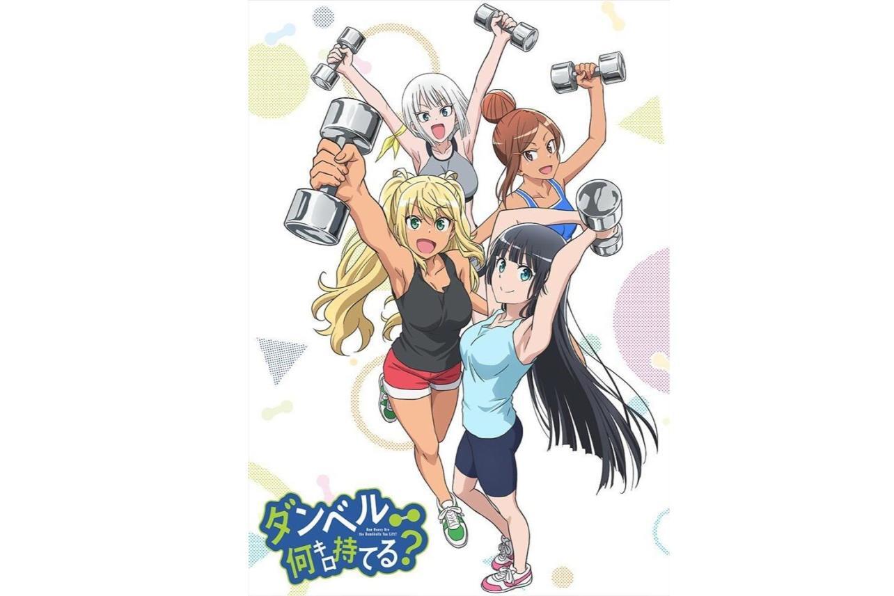肌肉少女:哑铃,能举多少公斤(动画工坊改编的电视动画)_搜狗百科