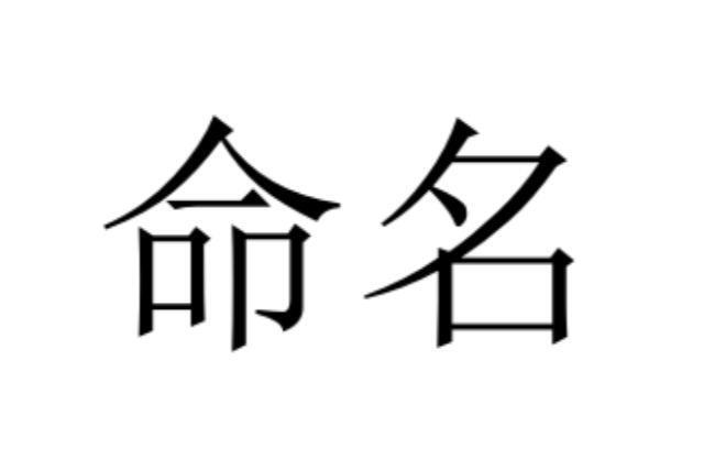 命名_搜狗百科