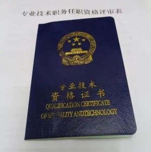 专业技术资格
