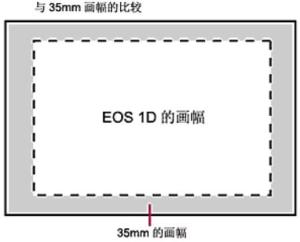 图3：佳能EOS-1DCCD与全画幅比较