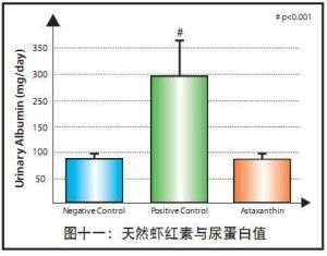 虾青素与蛋白尿减少