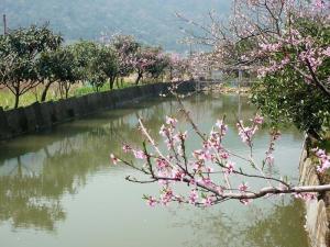 海盐南北湖图册