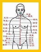 点穴减肥穴位图
