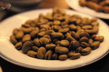 茴香豆
