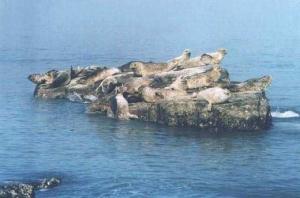 鄂霍次克海风光集萃