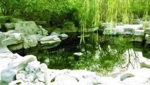 虬溪泉图册