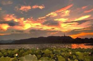 宝石流霞图册