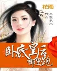 卧底王妃，揭秘宫廷风云——免费观看指南，卧底王妃，揭秘宫廷风云——免费观看指南