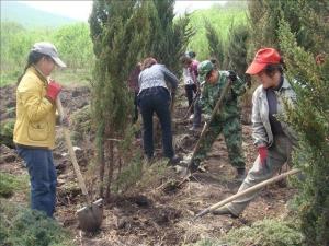 绥芬河林场图册