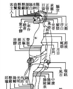 足少阳胆经 经脉图