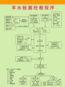 羊水栓塞抢救程序