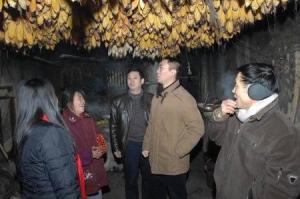 双沙镇