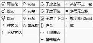 花公式