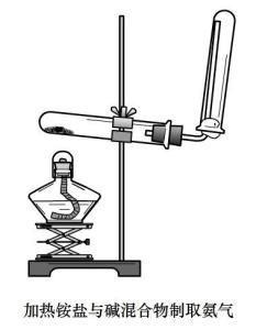 图1加热制取氨气的装置