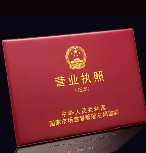 企业营业执照