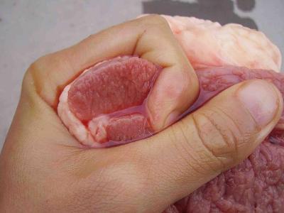 注水肉