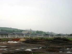 七棵树镇