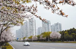 花中斗城