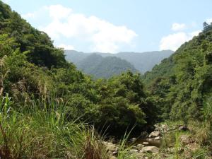 九阜山游