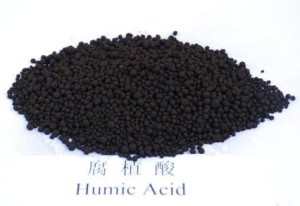 复杂的芳香族多羟基羧基的物质