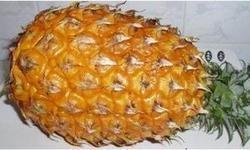 菠萝