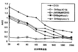 大肠杆菌DH5α图册