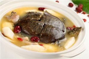 山药桂圆炖甲鱼
