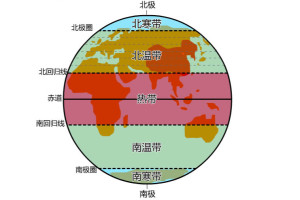 温带