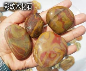 红褐色木化石（雨花石彩纹木化石）