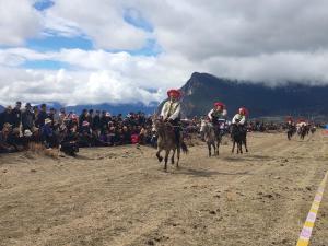 2019年4月2日林芝镇尼洋旅游文化艺术节赛马大会开赛