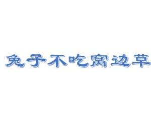 兔子不吃窝边草