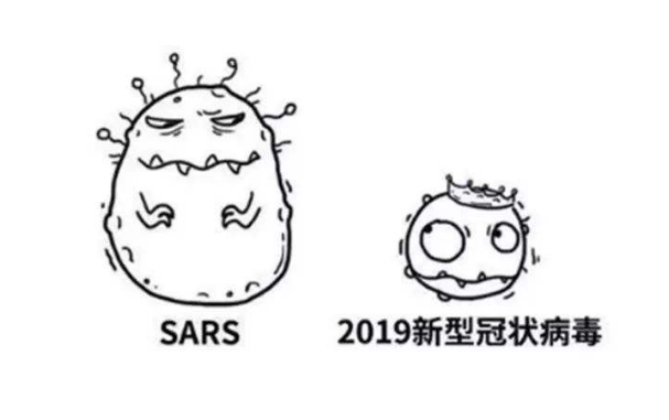 sars病毒