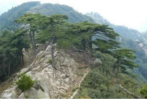 白马尖风景区