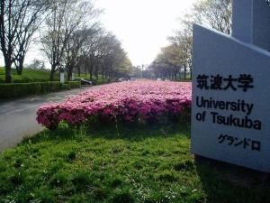 筑波大学