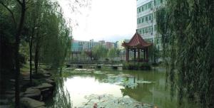学校环境