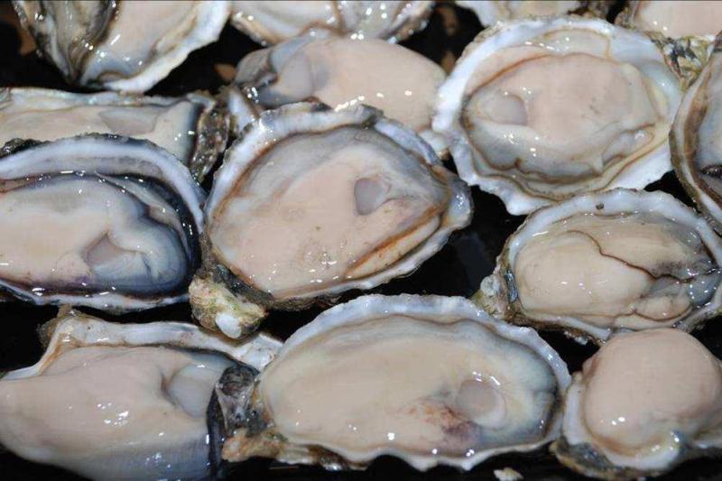 生牡蛎 搜狗百科 生牡蛎 搜狗百科