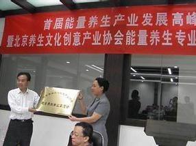 北京养生文化创意产业协会