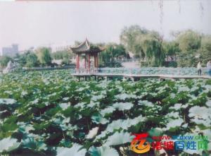 沧湾图册