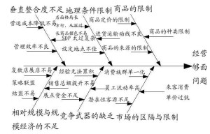 鱼骨图分析