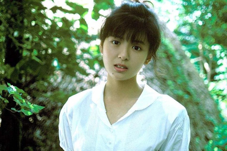 南野阳子 日本女演员 歌手 主持人 搜狗百科