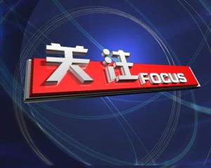 栏目