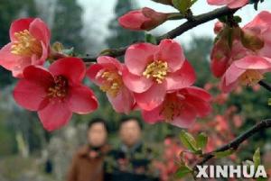 古林公园风景图集（1）