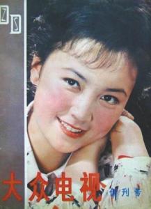 大众电视图册