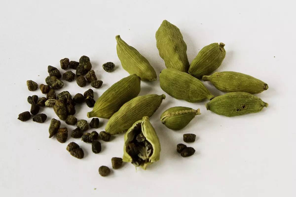小豆蔻(姜科小豆蔻属植物)_搜狗百科