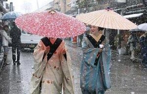 艺伎